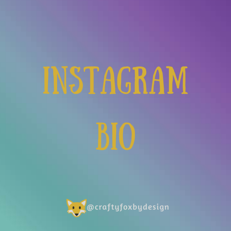 Read more about the article Instagram Bio Features
