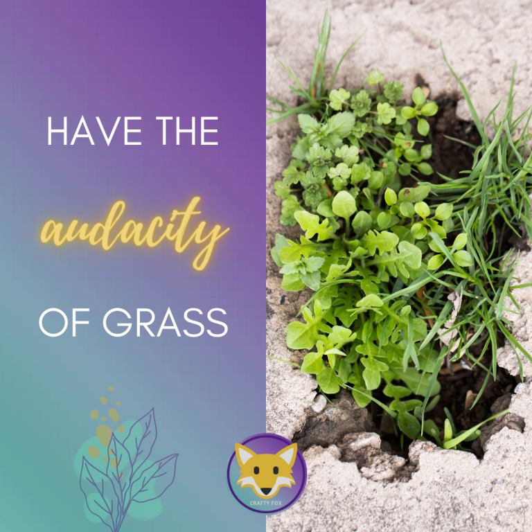 Read more about the article Having the audacity of grass will help you succeed!