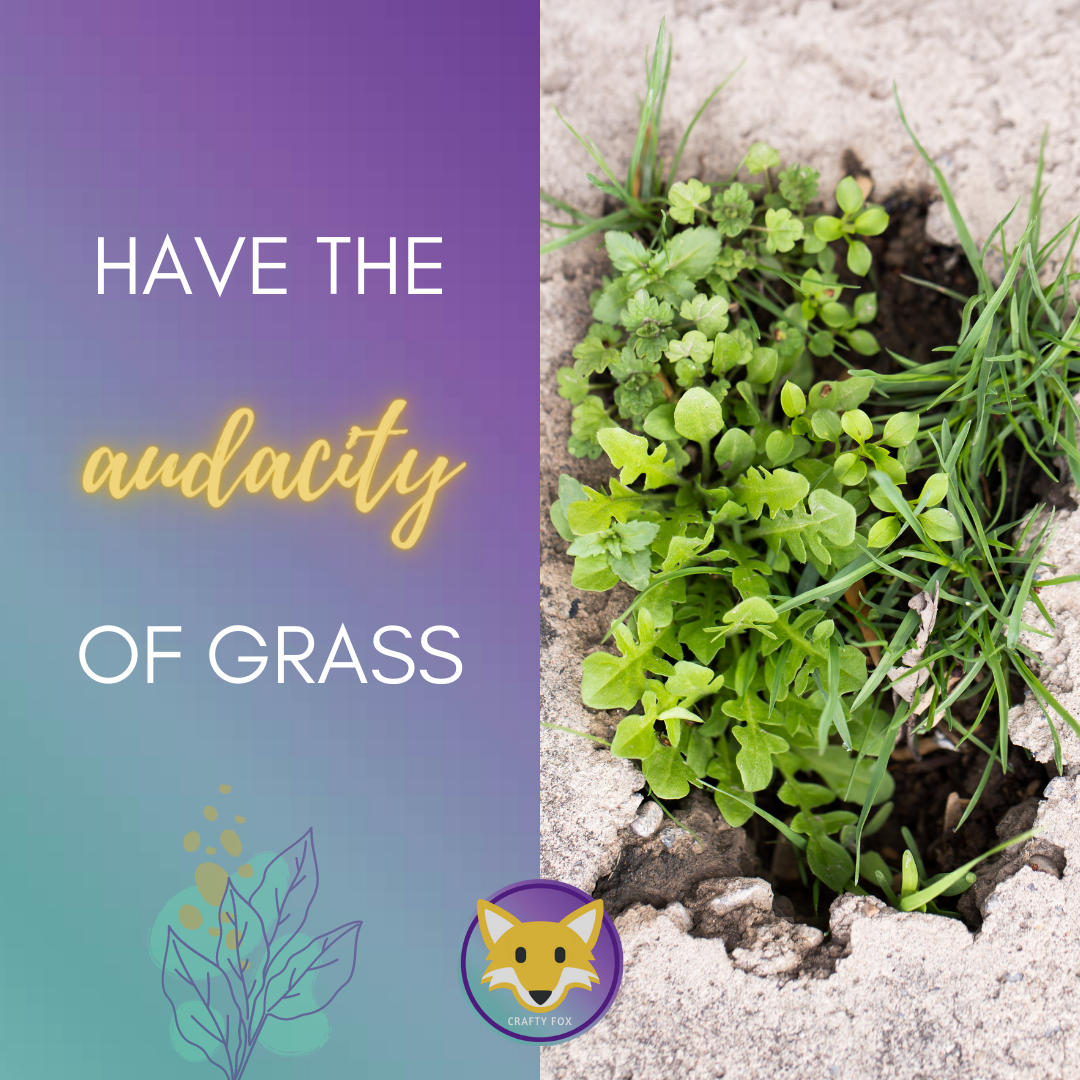 You are currently viewing Having the audacity of grass will help you succeed!